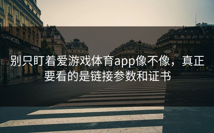 别只盯着爱游戏体育app像不像，真正要看的是链接参数和证书